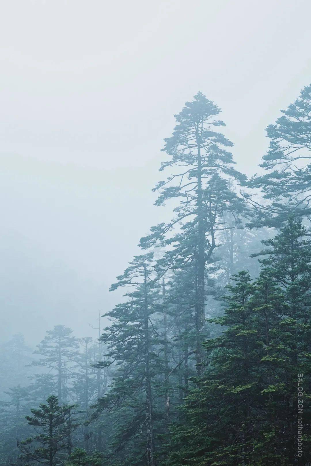 科一缺考必须等十天吗?-专业有问必答平台