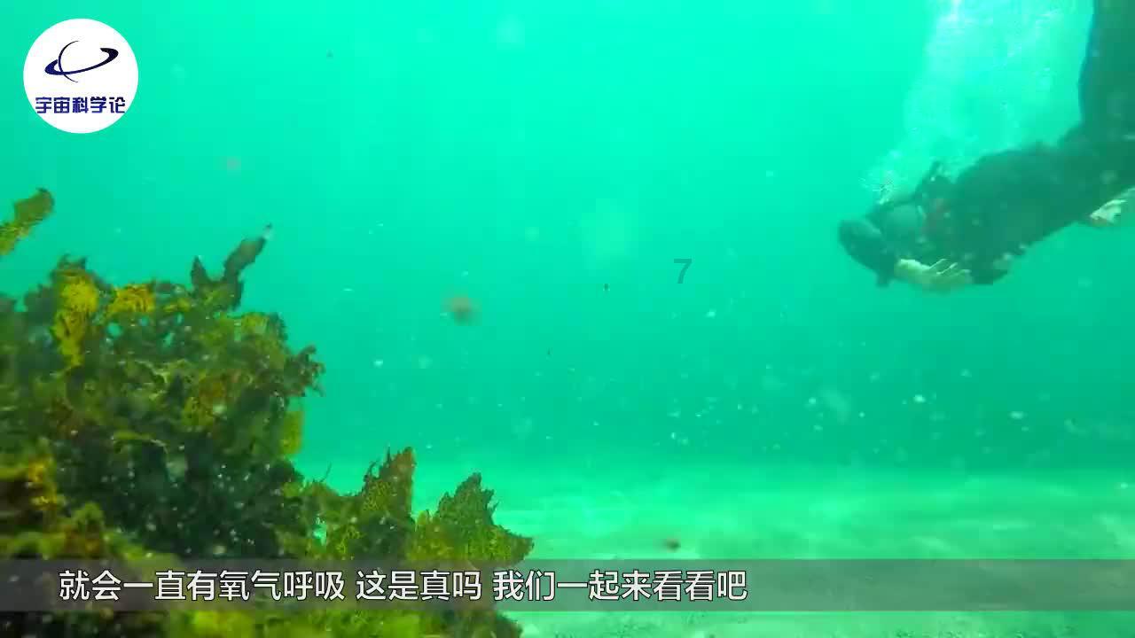 旅游出门拍照带上这款手机镜头,轻松拍大片
